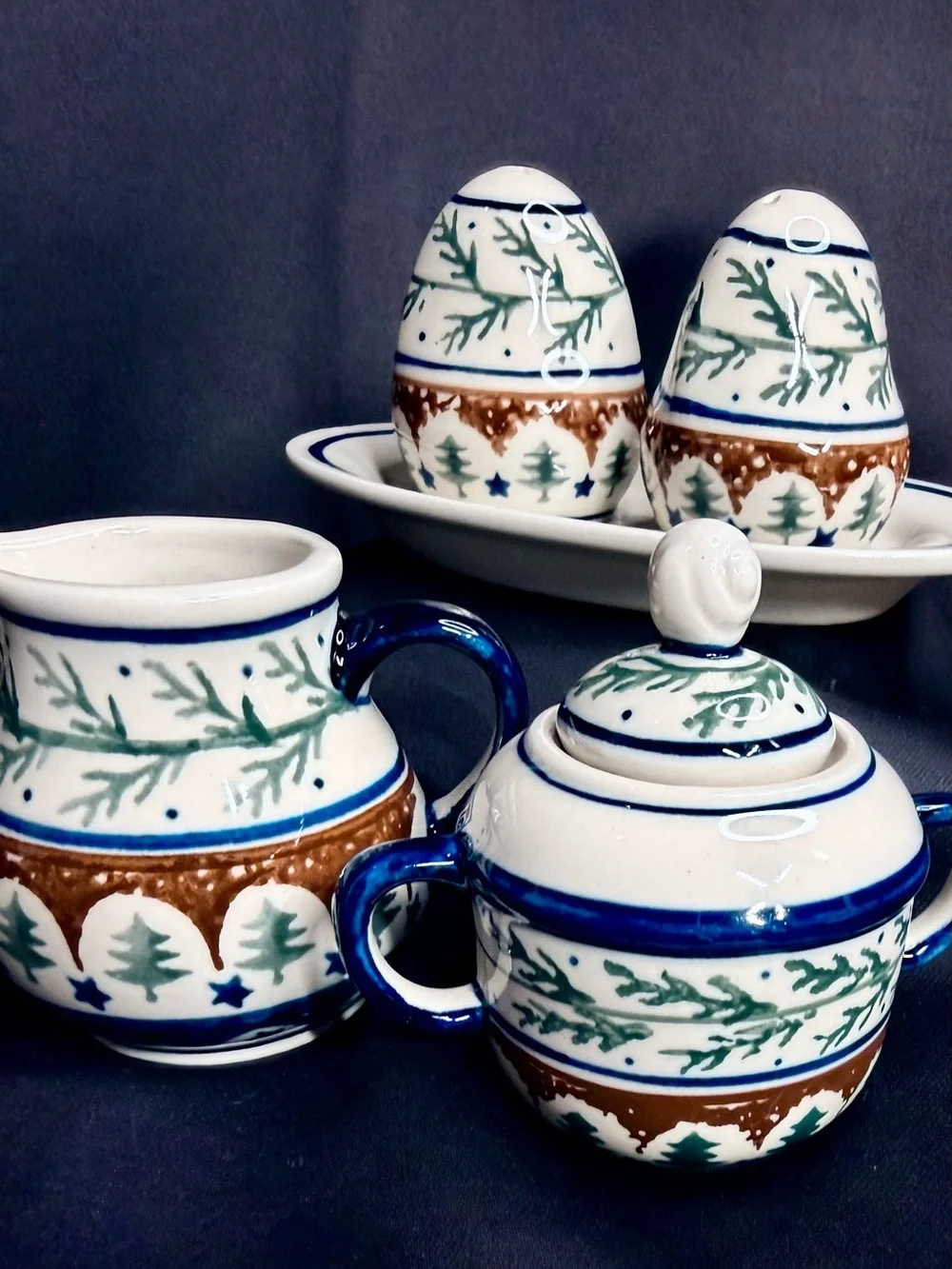Polish Pottery Hand Crafted Vintage Serve-ware Salt/Pepper & Creamer/Sugar Set